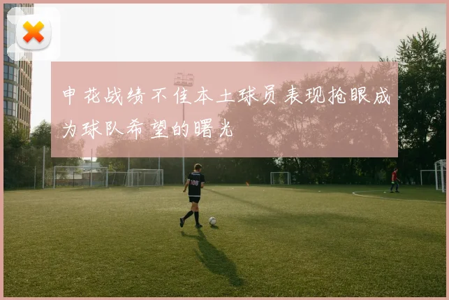 申花战绩不佳本土球员表现抢眼成为球队希望的曙光